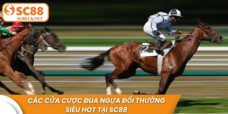 Các cửa cược đua ngựa đổi thưởng siêu HOT tại sc88