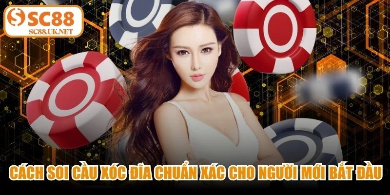 Cách Soi Cầu Xóc Đĩa Chuẩn Xác Cho Người Mới Bắt Đầu