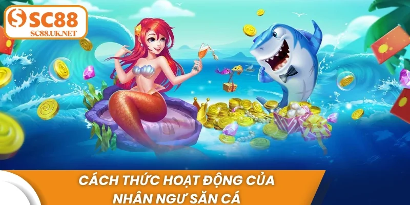 Cách thức hoạt động của nhân ngư săn cá
