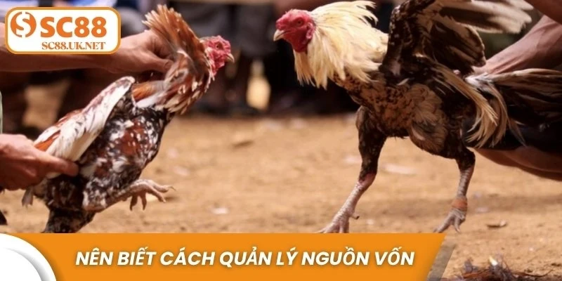 Nên biết cách quản lý nguồn vốn chơi hiệu quả