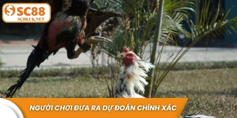 Nhờ những thông tin này, người chơi có thể đưa ra dự đoán chính xác