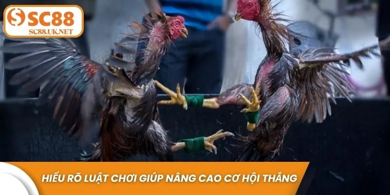 Hiểu rõ luật chơi giúp người tham gia nâng cao cơ hội thắng