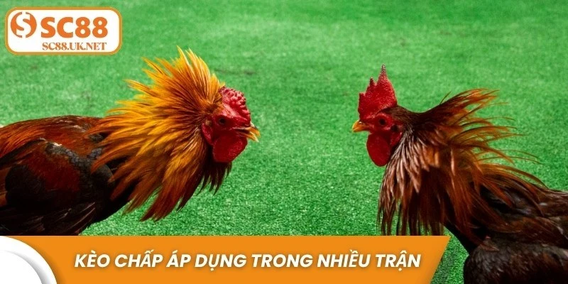 Kèo cược chấp được áp dụng trong nhiều trận đấu hấp dẫn