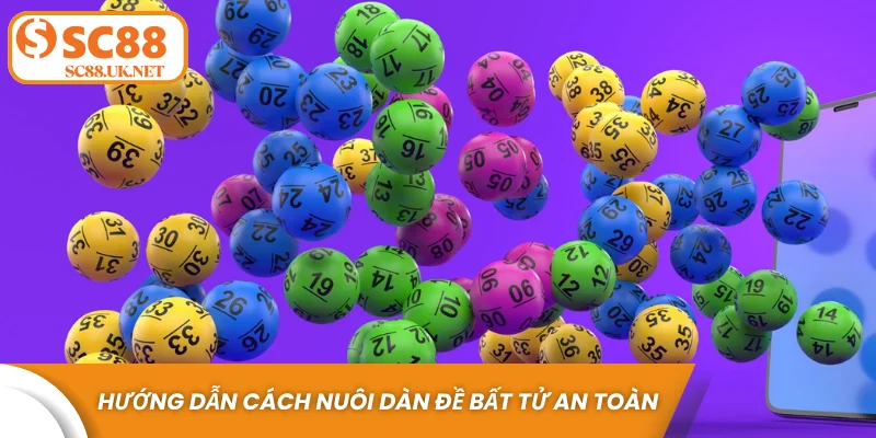 Hướng dẫn cách nuôi dàn đề bất tử an toàn