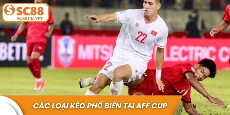 Các loại kèo phổ biến tại AFF Cup và hướng dẫn cụ thể từng loại