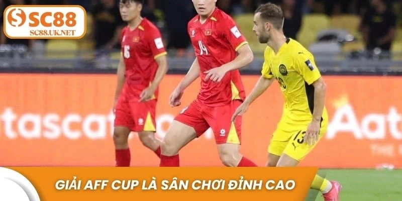 Giải AFF Cup là sân chơi đỉnh cao của bóng đá Đông Nam Á