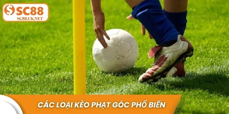 Các loại kèo phạt góc phổ biến