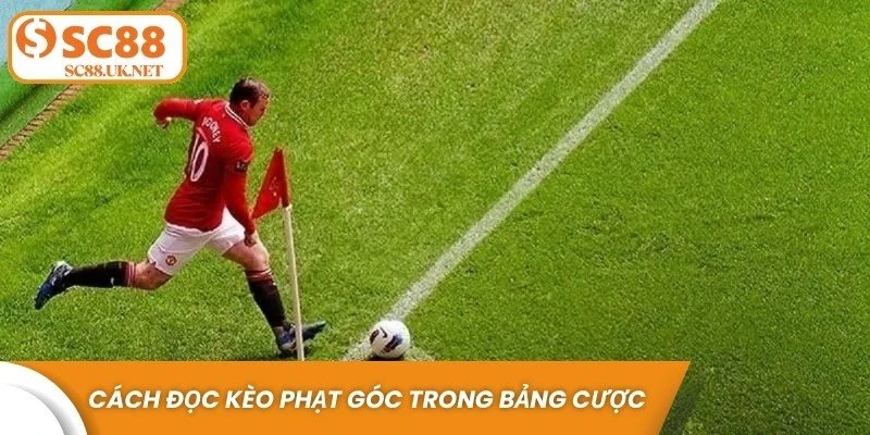 Cách đọc kèo phạt góc trong bảng cược