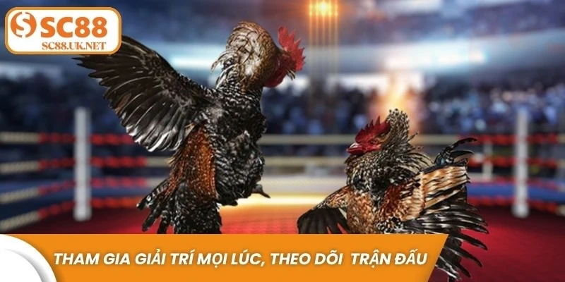 Tham gia giải trí mọi lúc, theo dõi các trận đấu trực tiếp nhanh chóng